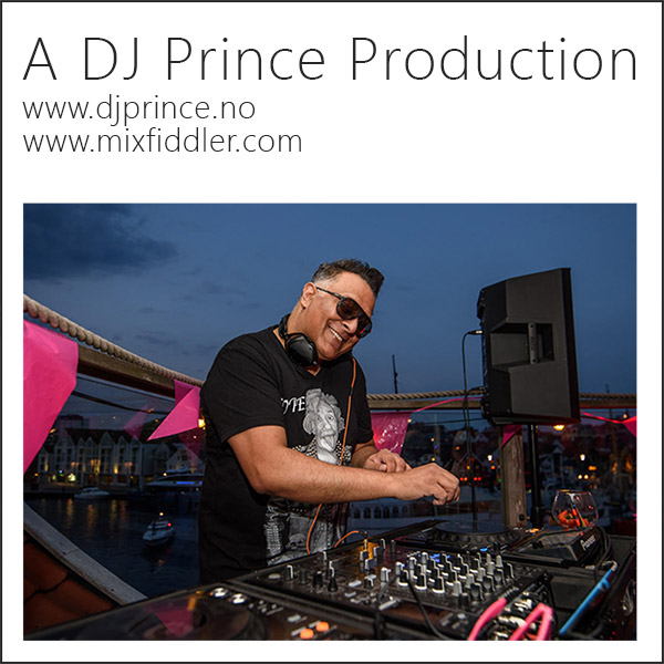 DJ Prince - Britney Bitch