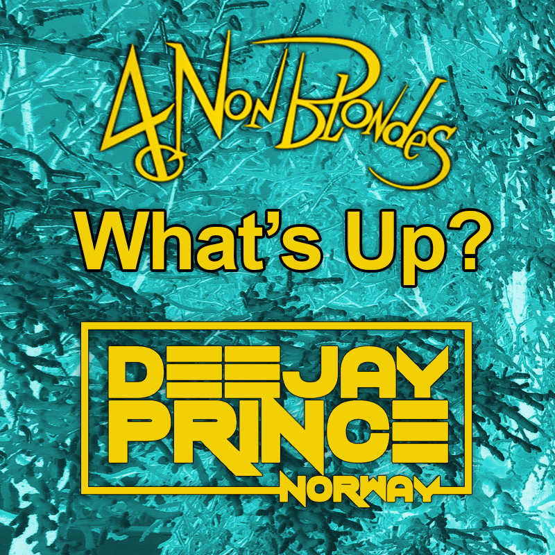 4 Non Blondes - What's going on (DJ Prince Mashup)