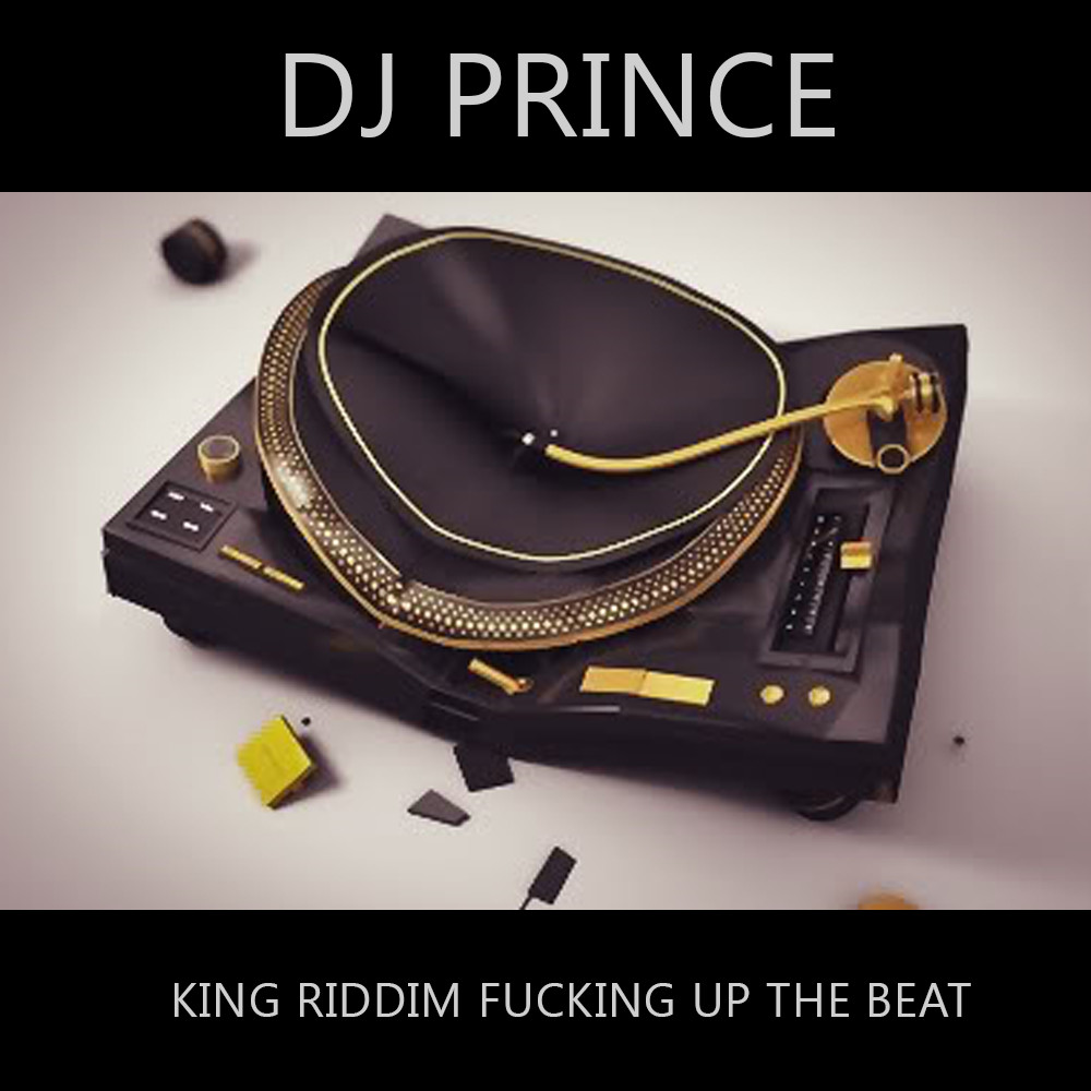 King Riddim - Fucking up the beat (DJ Prince Remix)