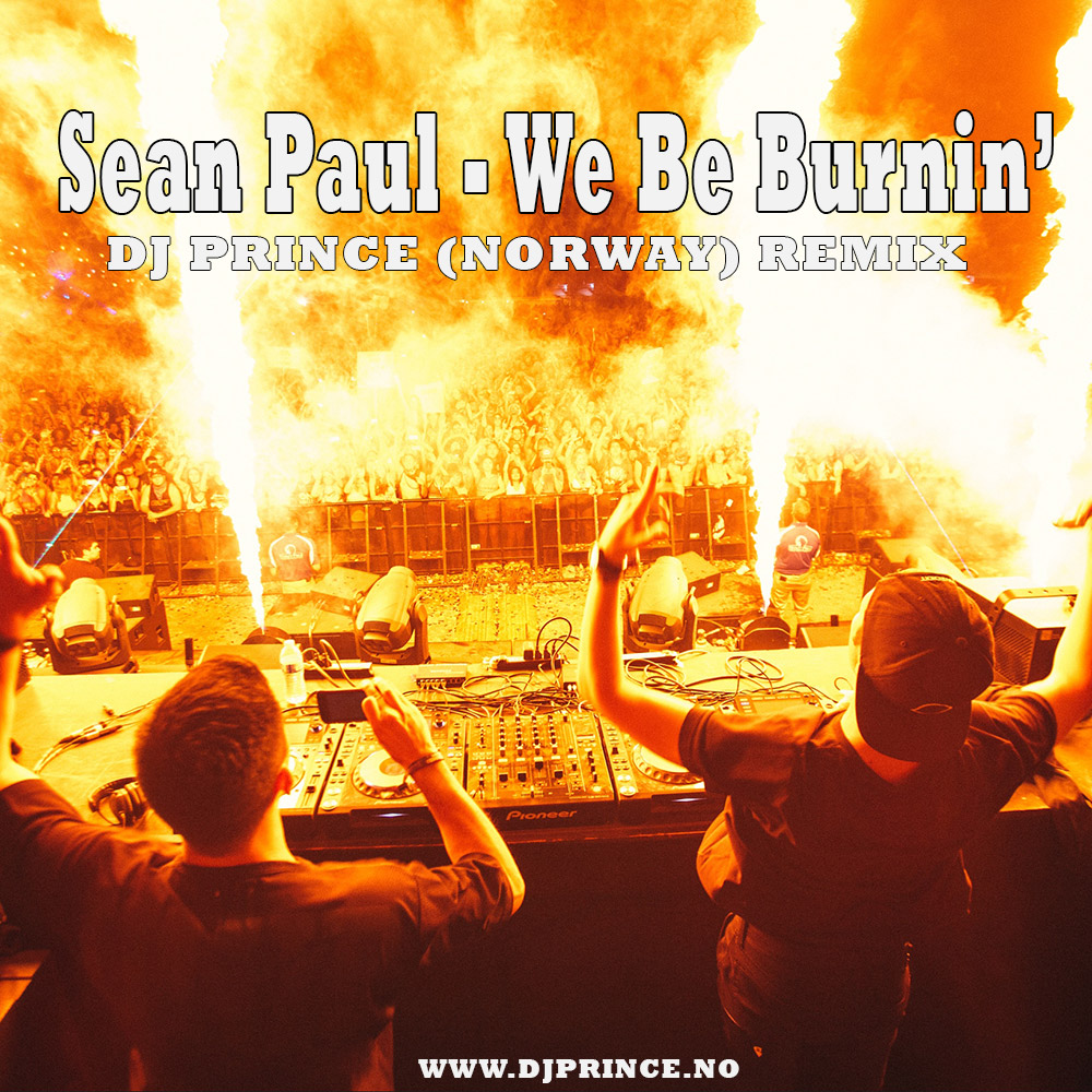 Sean Paul - We be burnin vs Heads Will Roll (DJ Prince remix)