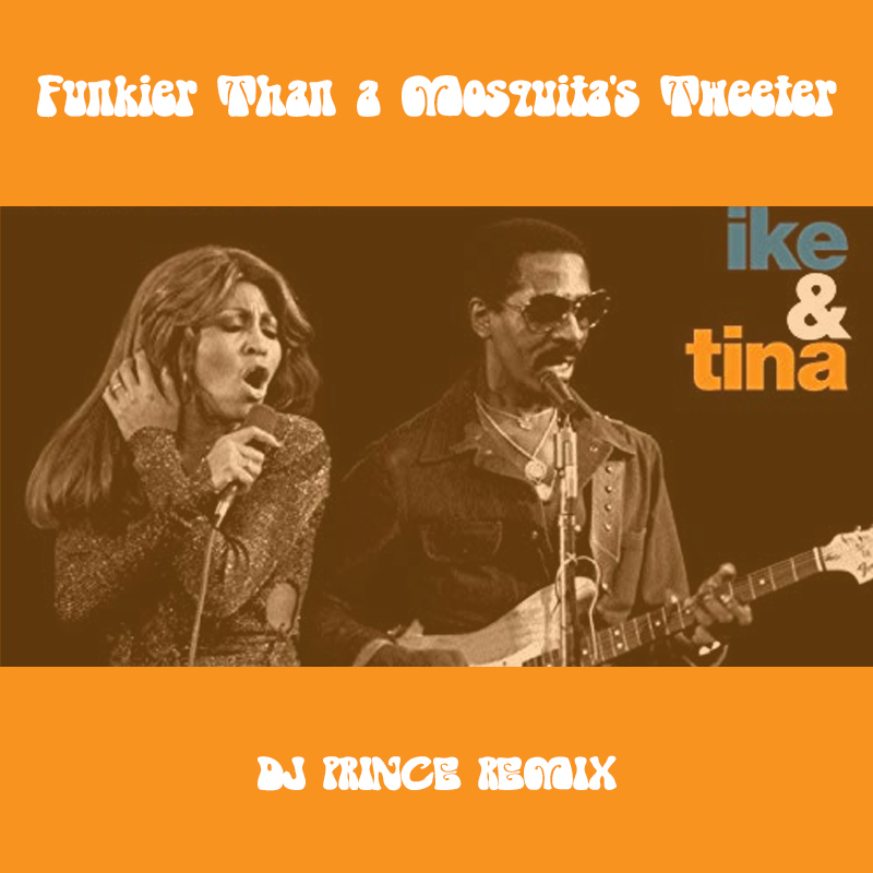 Ike & Tina Turner - Funkier Than a Mosquita's Tweeter (DJ Prince Remix)